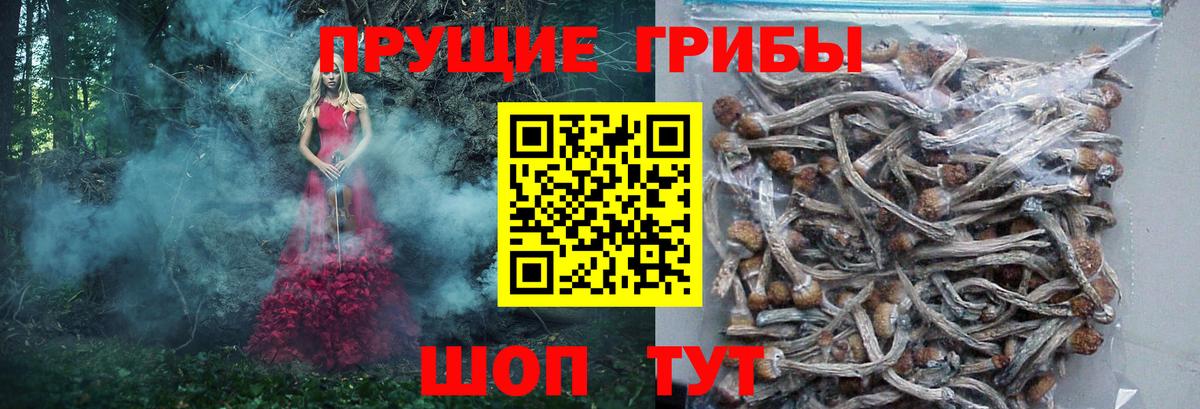 Псилоцибиновые грибы Cubensis Новоуральск