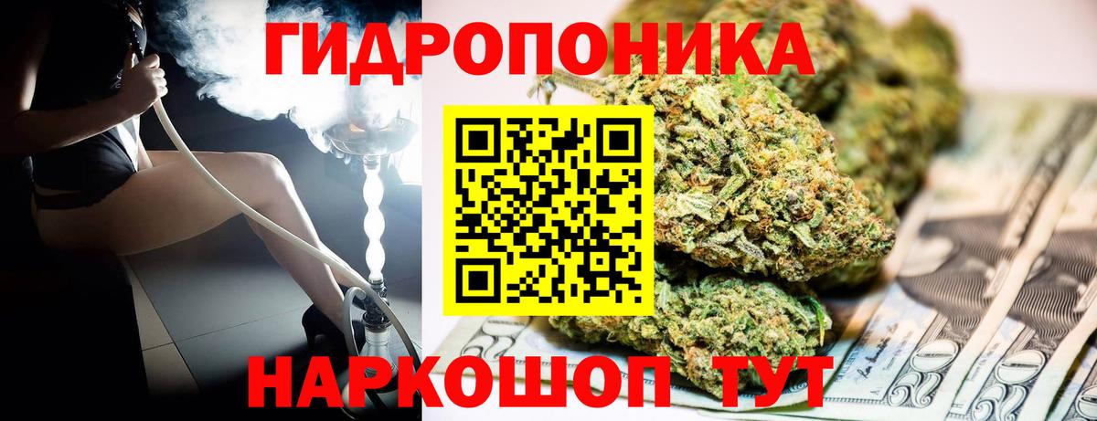 Конопля Bruce Banner Новоуральск